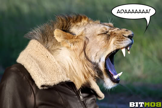 Leon S. Kennedy from Resident Evil 4.